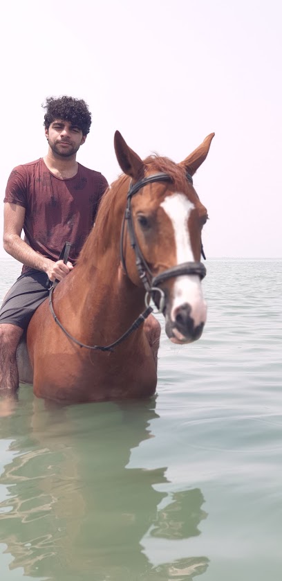 هارتلاند مربط - Bahrain|Damistan|1731