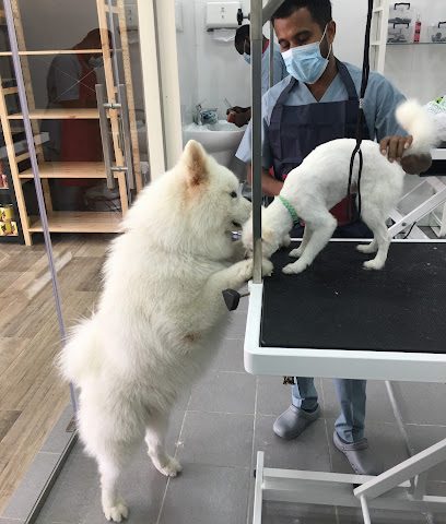 جولدن باو - الرفاع - +973 3883 9949